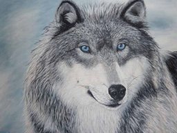 Kunsthanderwerkermarkt11